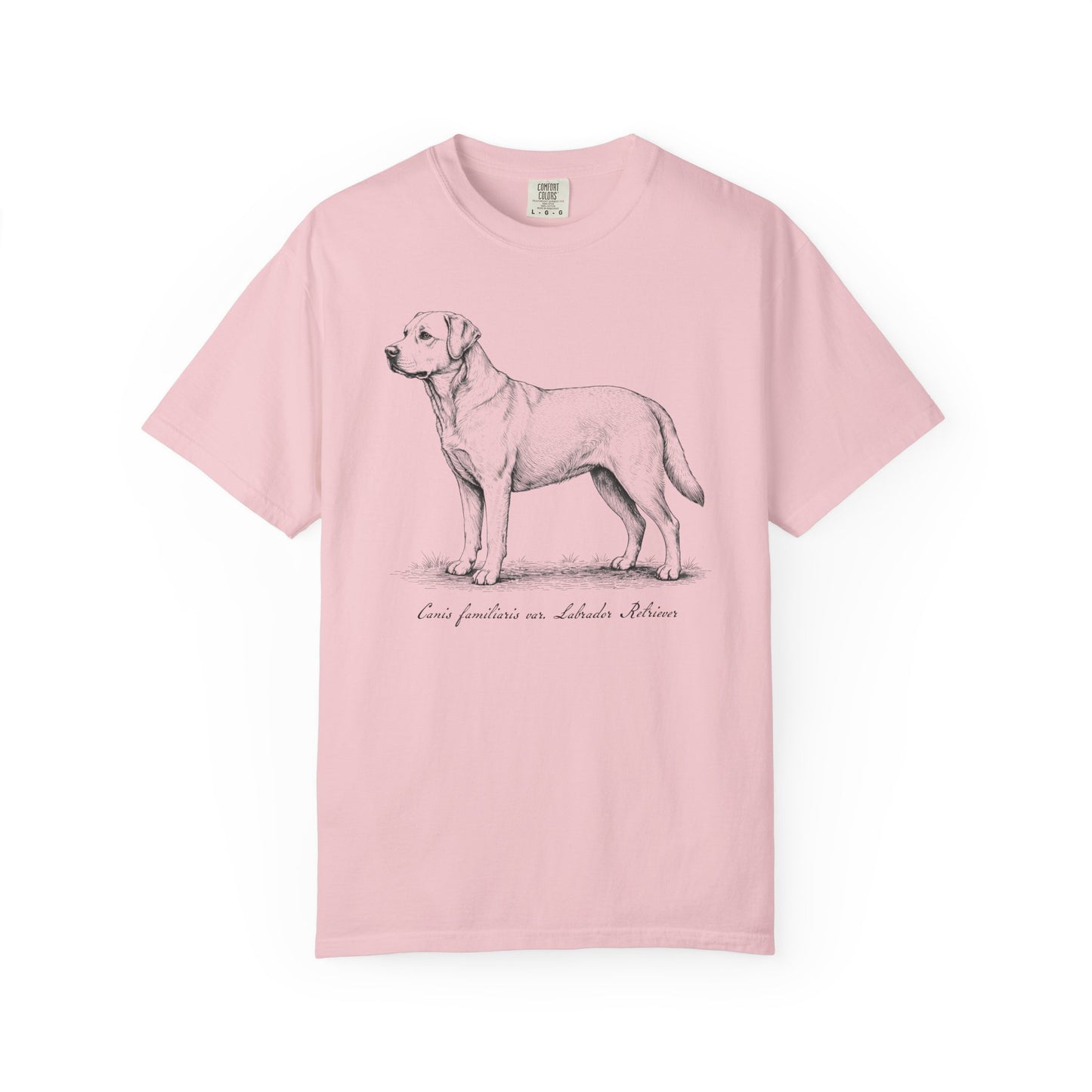 Naturalist’s Notes Labrador Retriever T-Shirt in Blossom from When Dogs Fly
