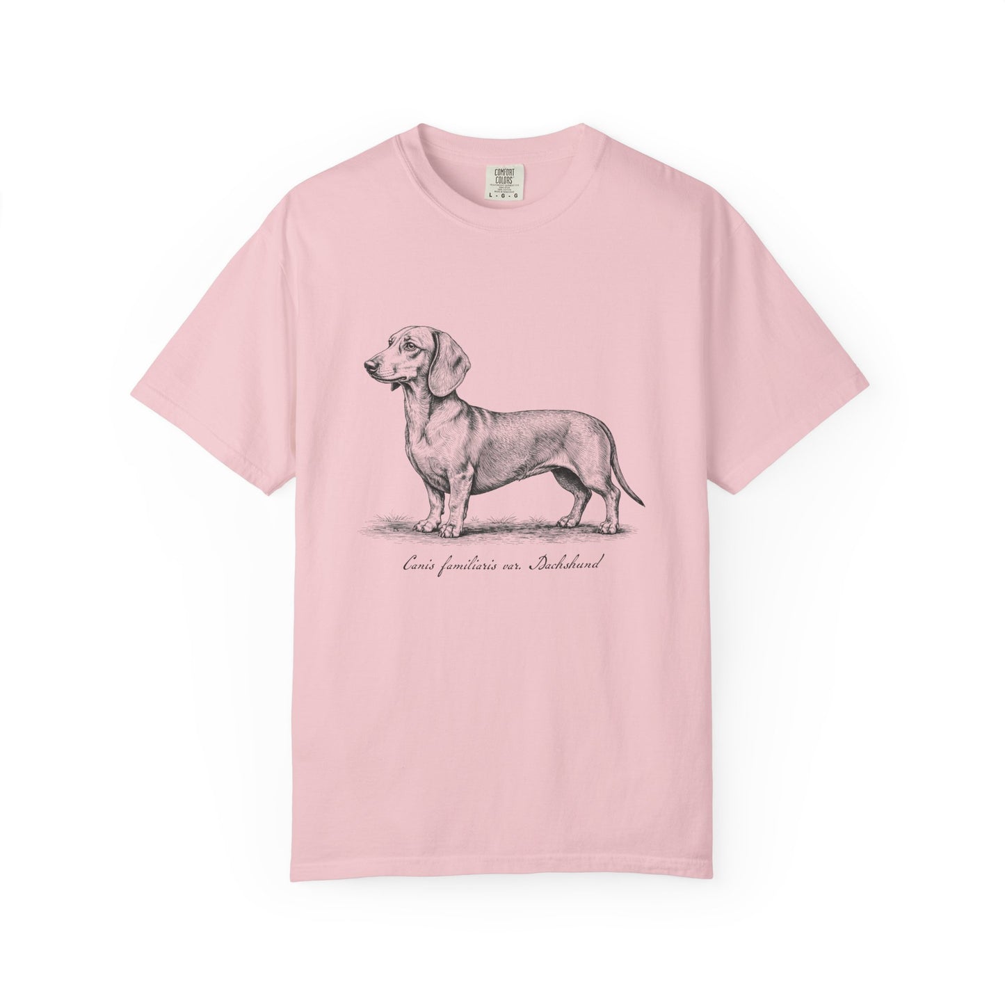 Naturalist’s Notes Dachshund T-Shirt in Blossom from When Dogs Fly
