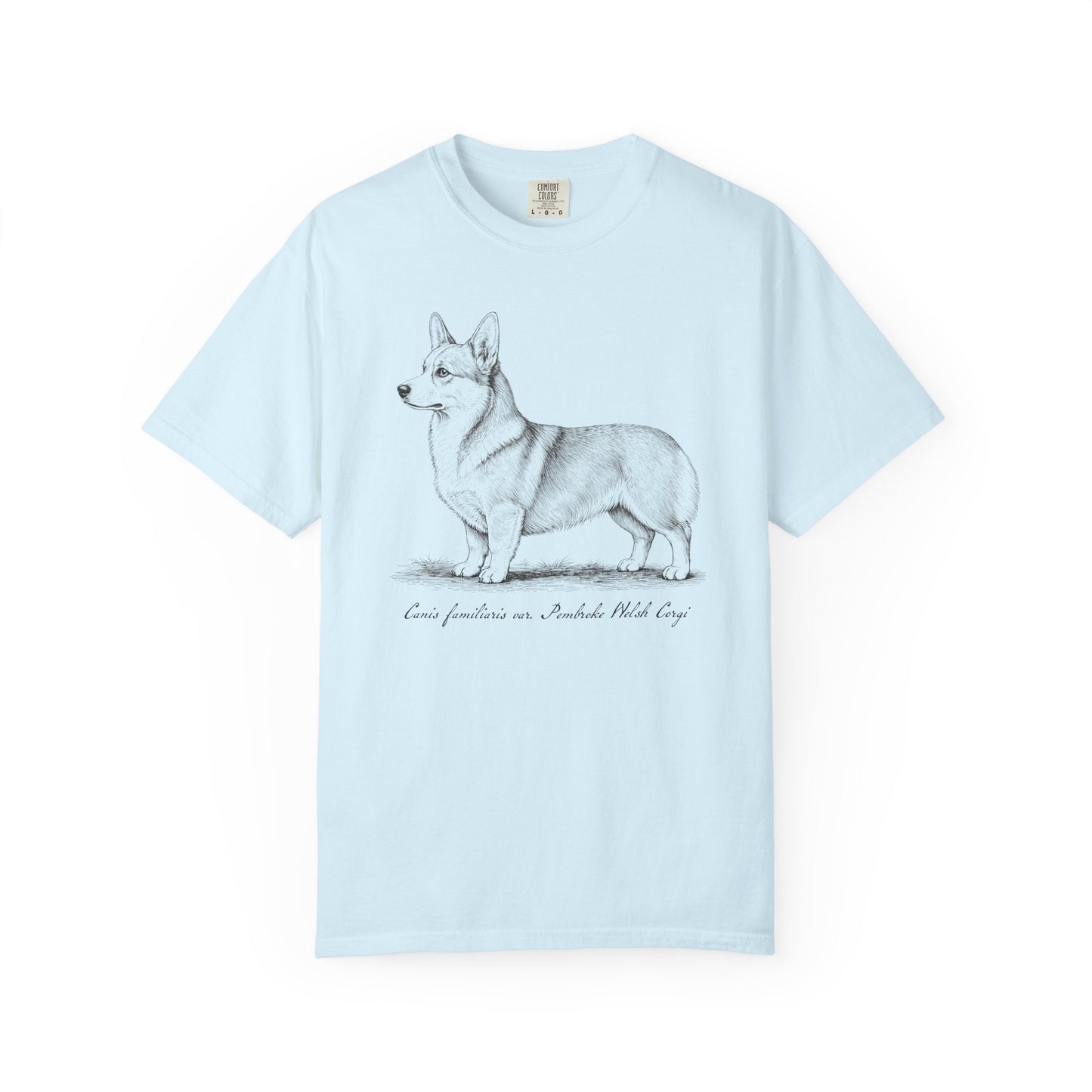 Naturalist’s Notes Corgi T-Shirt in Chambray from When Dogs Fly