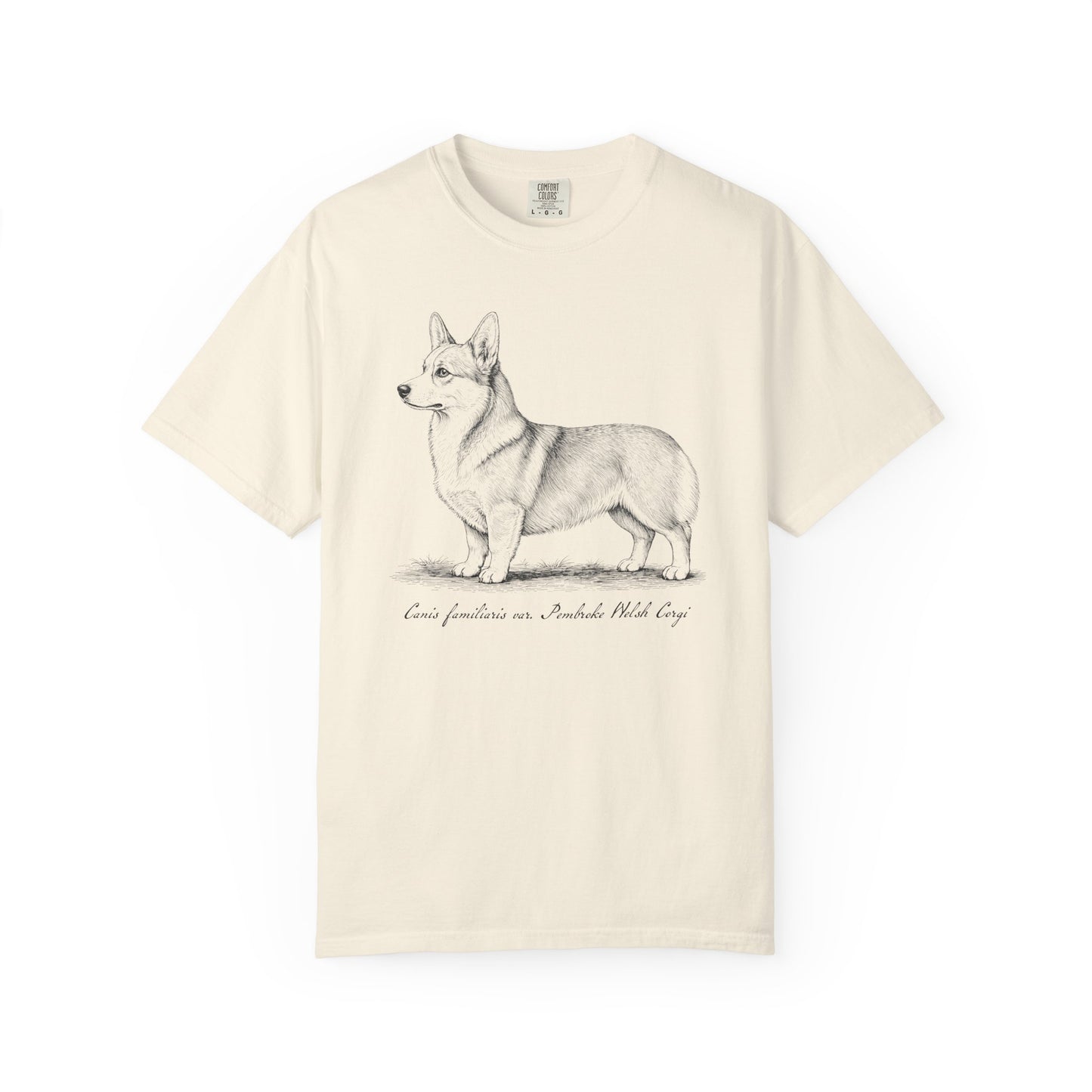 Naturalist’s Notes Corgi T-Shirt in Ivory from When Dogs Fly