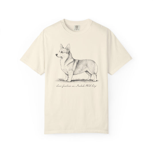 Naturalist’s Notes Corgi T-Shirt in Ivory from When Dogs Fly