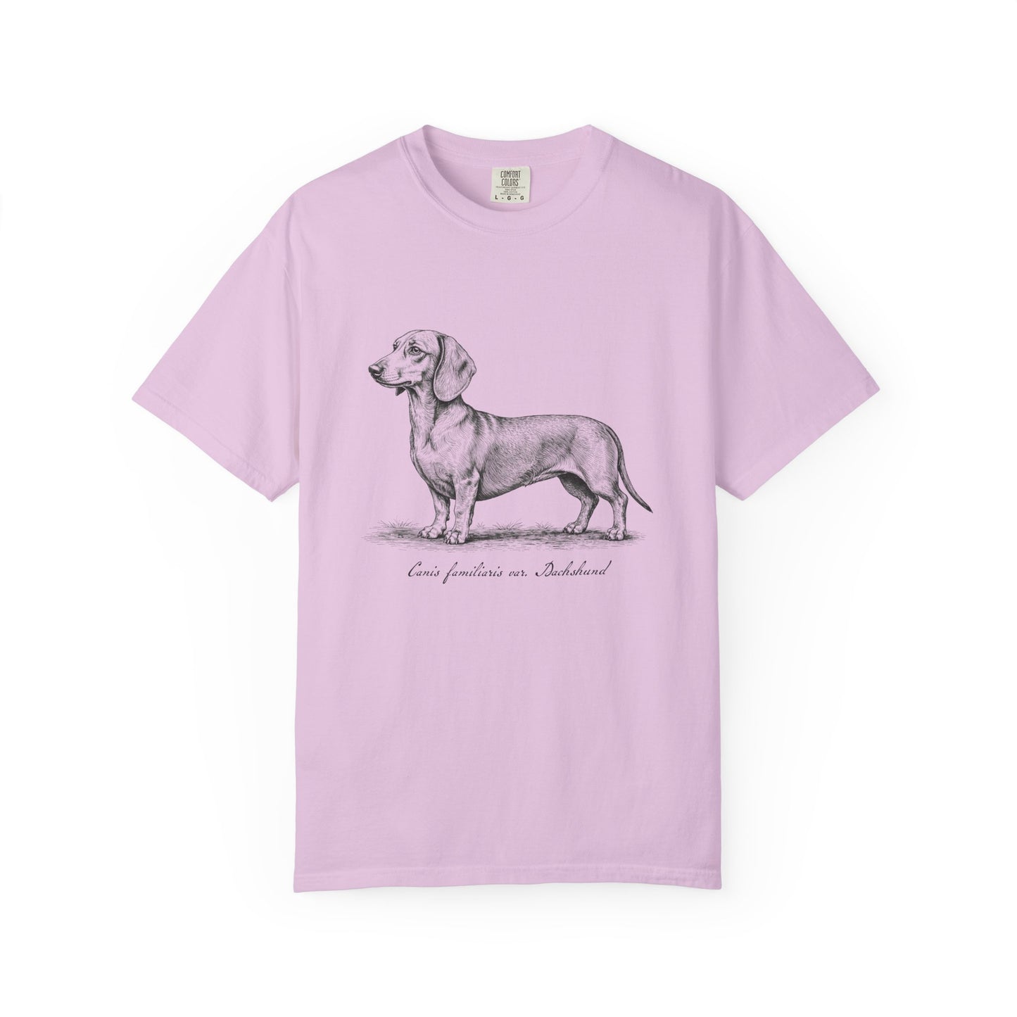 Naturalist’s Notes Dachshund T-Shirt in Orchid from When Dogs Fly
