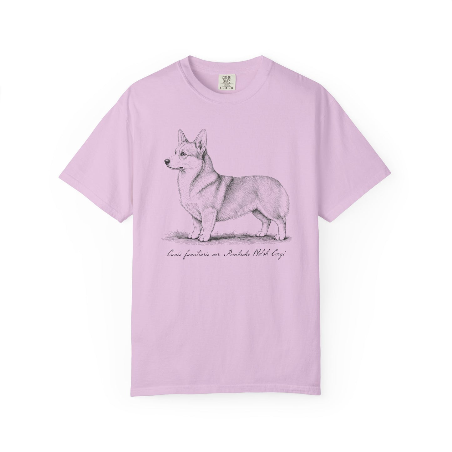 Naturalist’s Notes Corgi T-Shirt in Orchid from When Dogs Fly