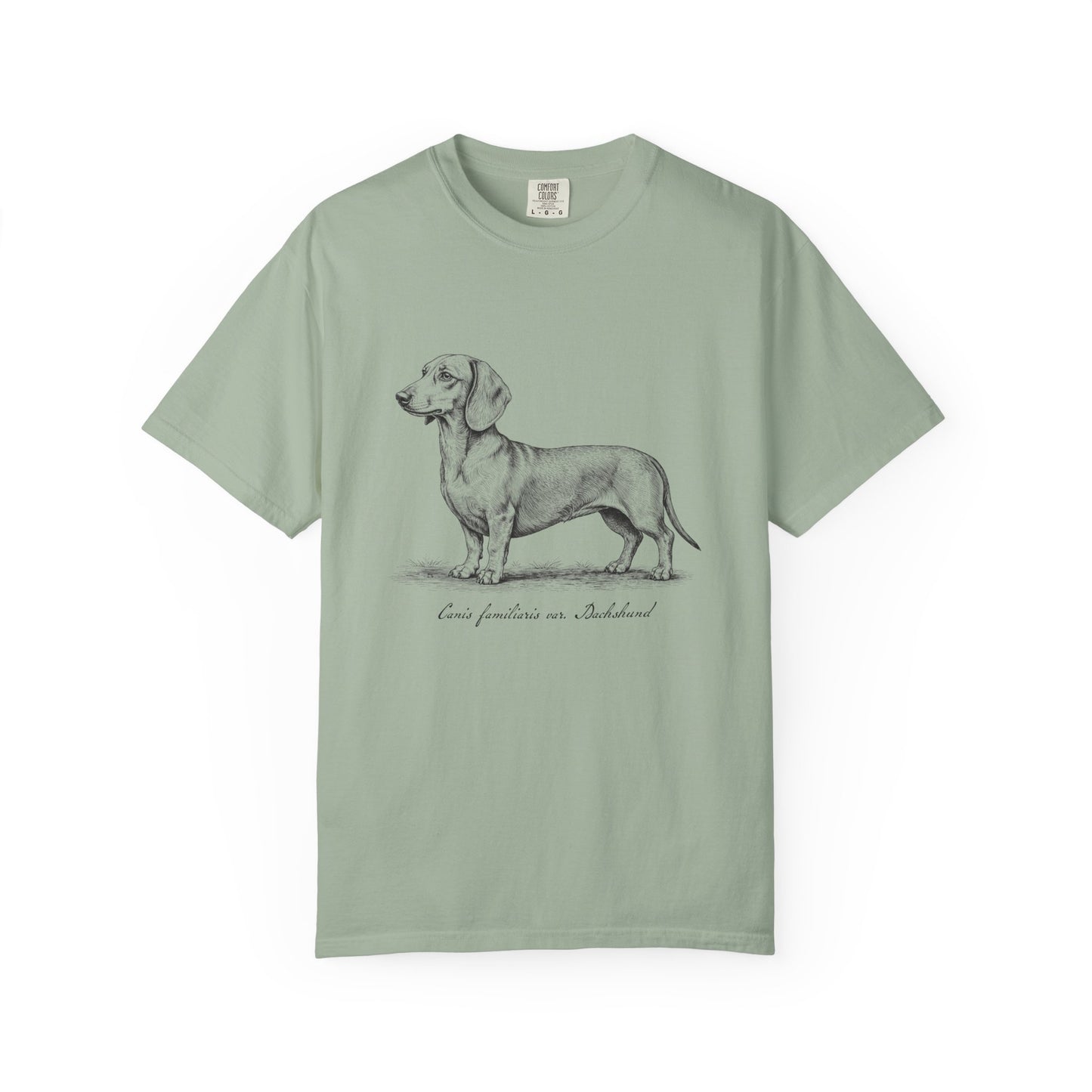 Naturalist’s Notes Dachshund T-Shirt in Bay from When Dogs Fly