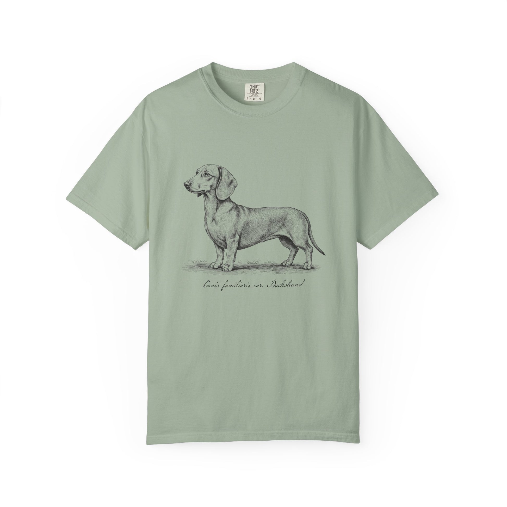 Naturalist’s Notes Dachshund T-Shirt in Bay from When Dogs Fly