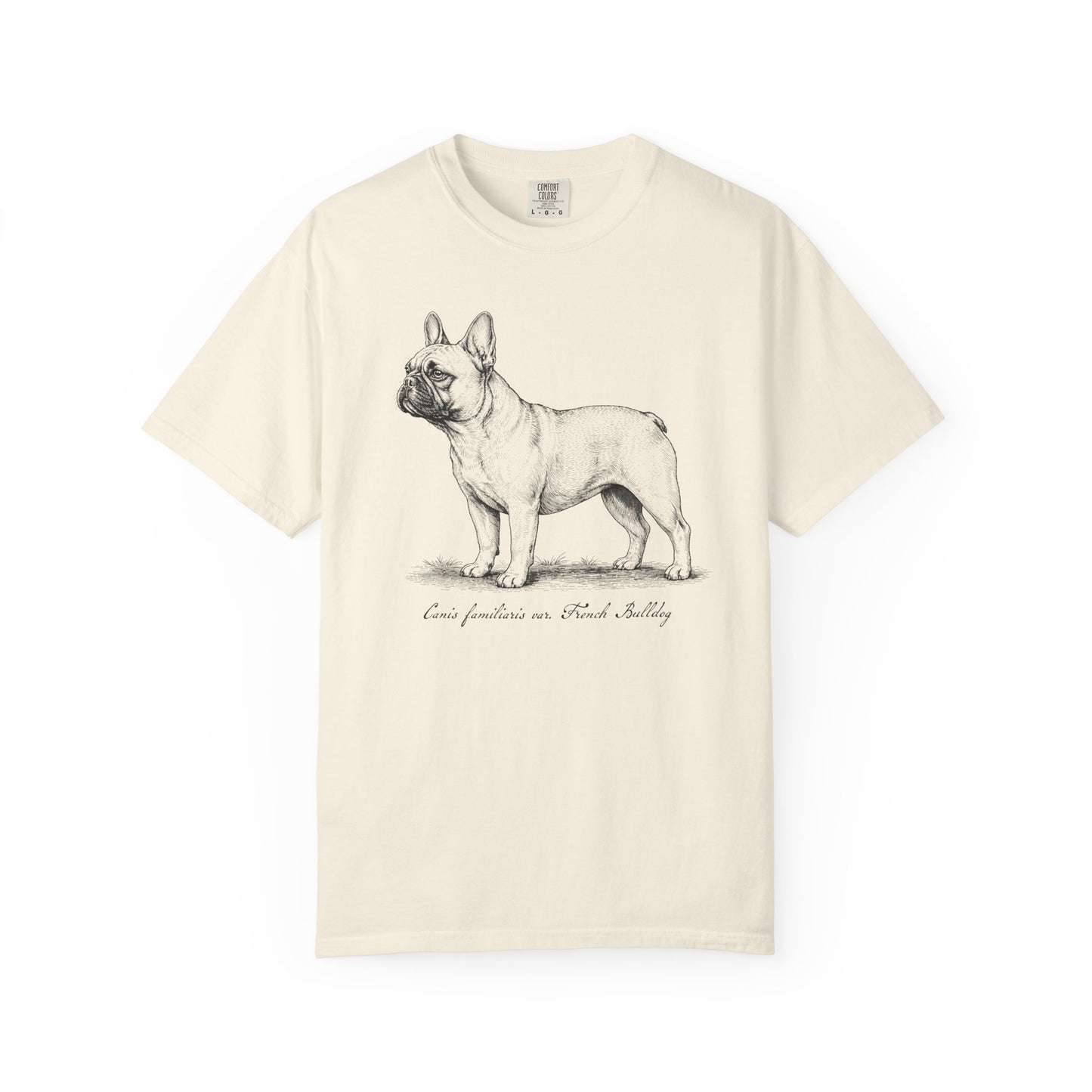 Naturalist’s Notes French Bulldog T-Shirt in Ivory from When Dogs Fly