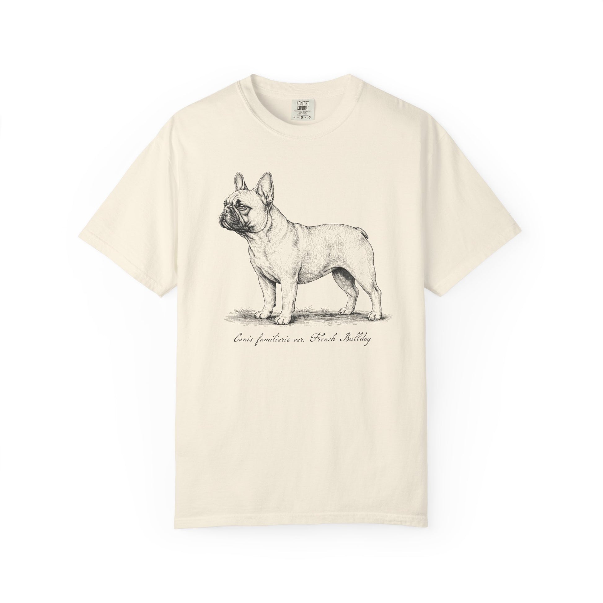 Naturalist’s Notes French Bulldog T-Shirt in Ivory from When Dogs Fly
