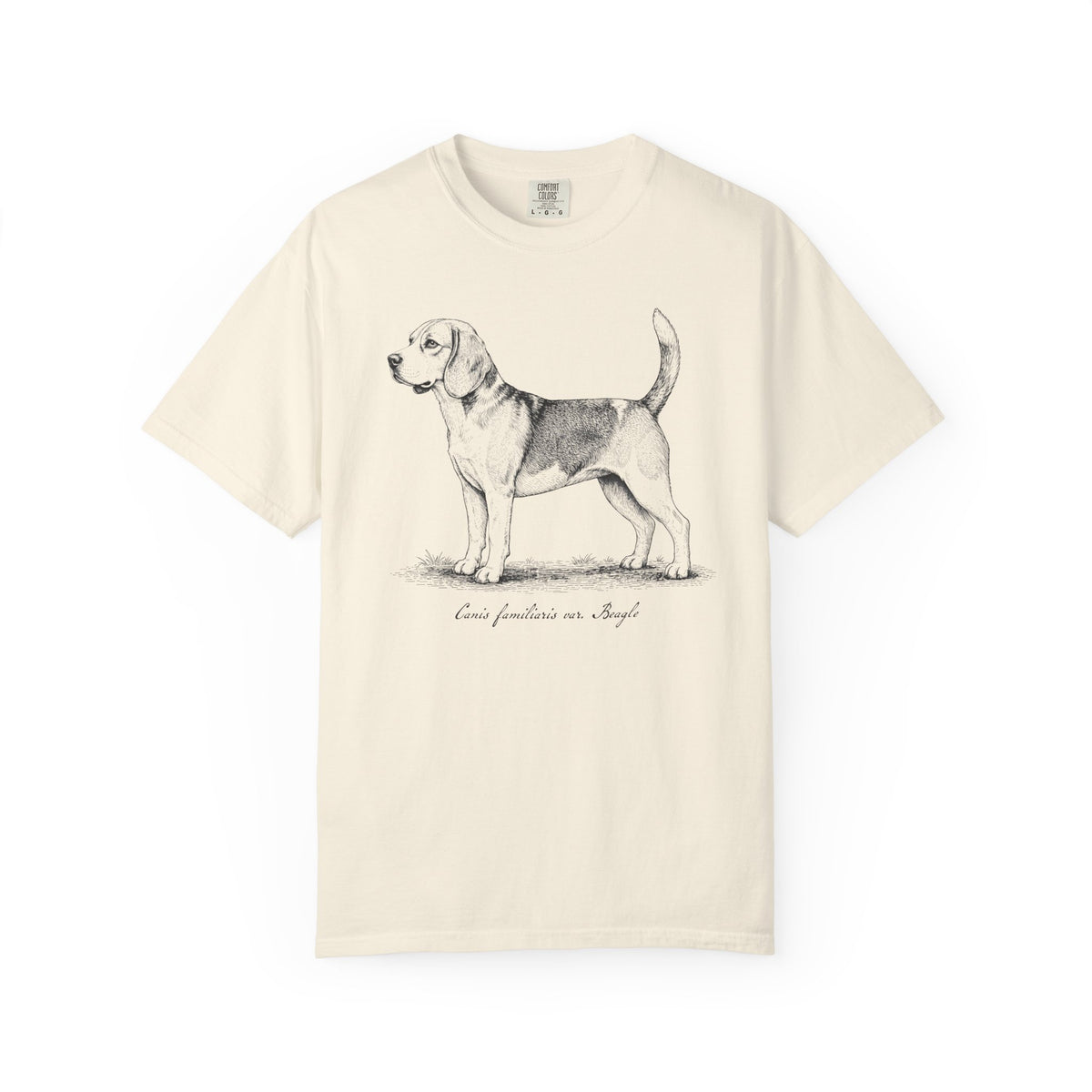 Naturalist’s Notes Beagle T-Shirt in Ivory from When Dogs Fly