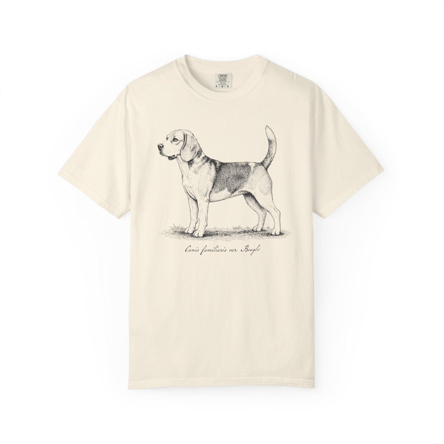 Naturalist’s Notes Beagle T-Shirt in Ivory from When Dogs Fly