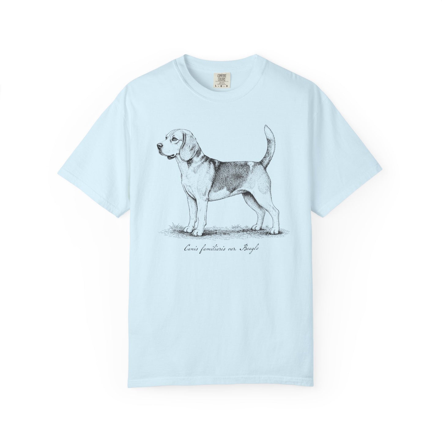 Naturalist’s Notes Beagle T-Shirt in Chambray from When Dogs Fly