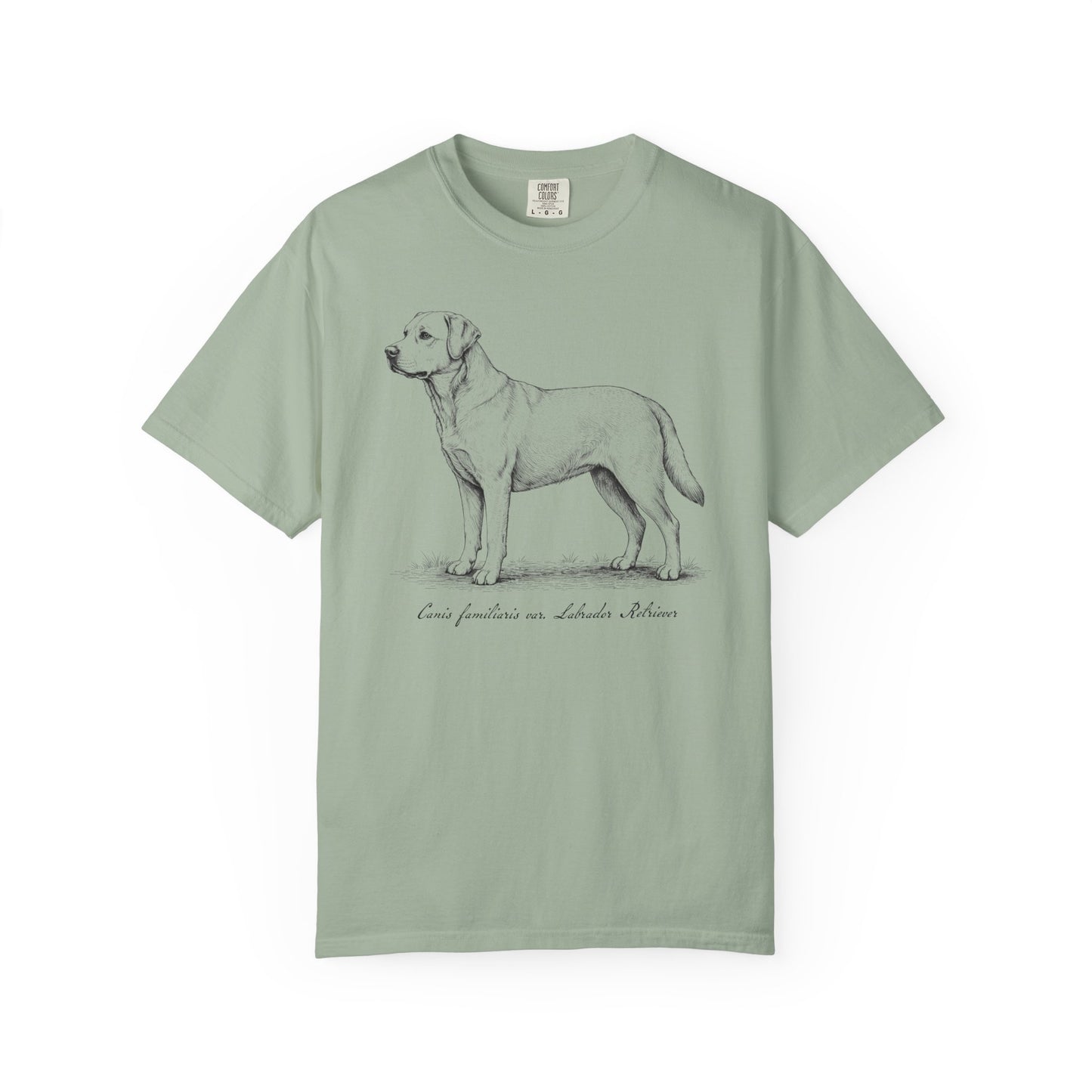 Naturalist’s Notes Labrador Retriever T-Shirt in Bay from When Dogs Fly