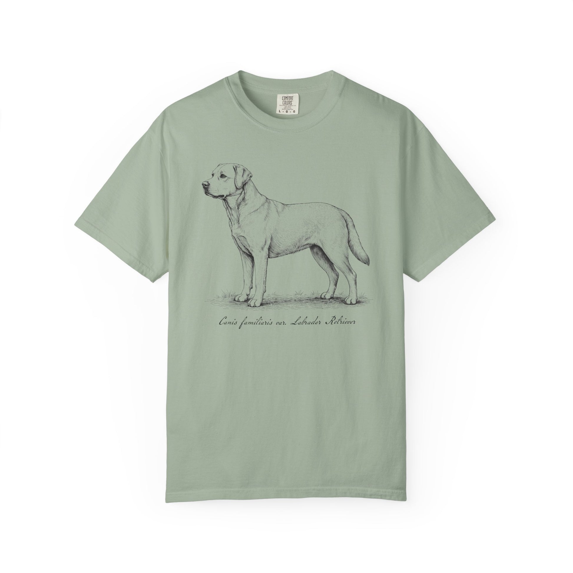 Naturalist’s Notes Labrador Retriever T-Shirt in Bay from When Dogs Fly