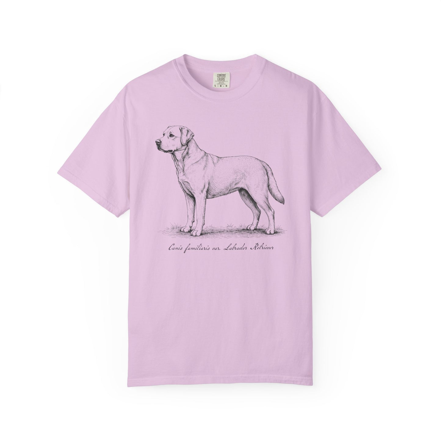 Naturalist’s Notes Labrador Retriever T-Shirt in Orchid from When Dogs Fly
