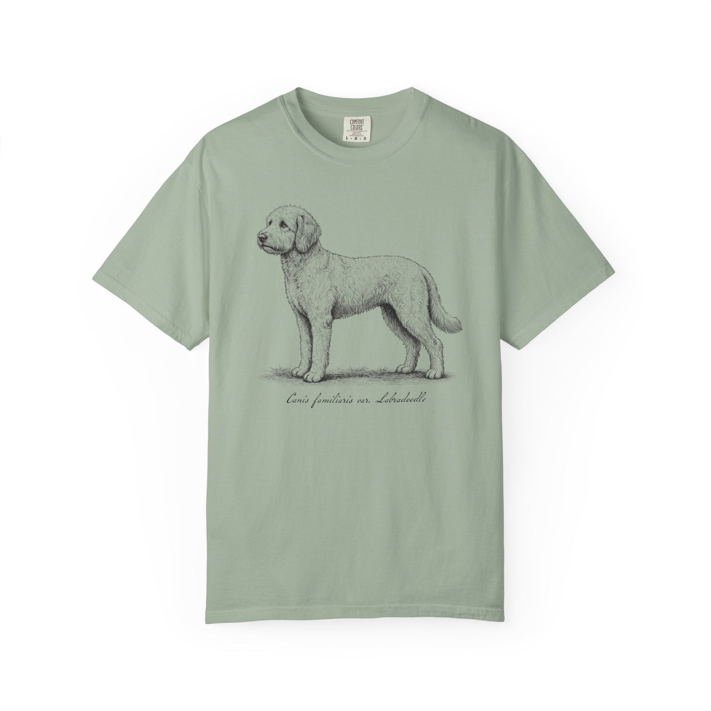 Naturalist’s Notes Labradoodle T-Shirt in Bay from When Dogs Fly