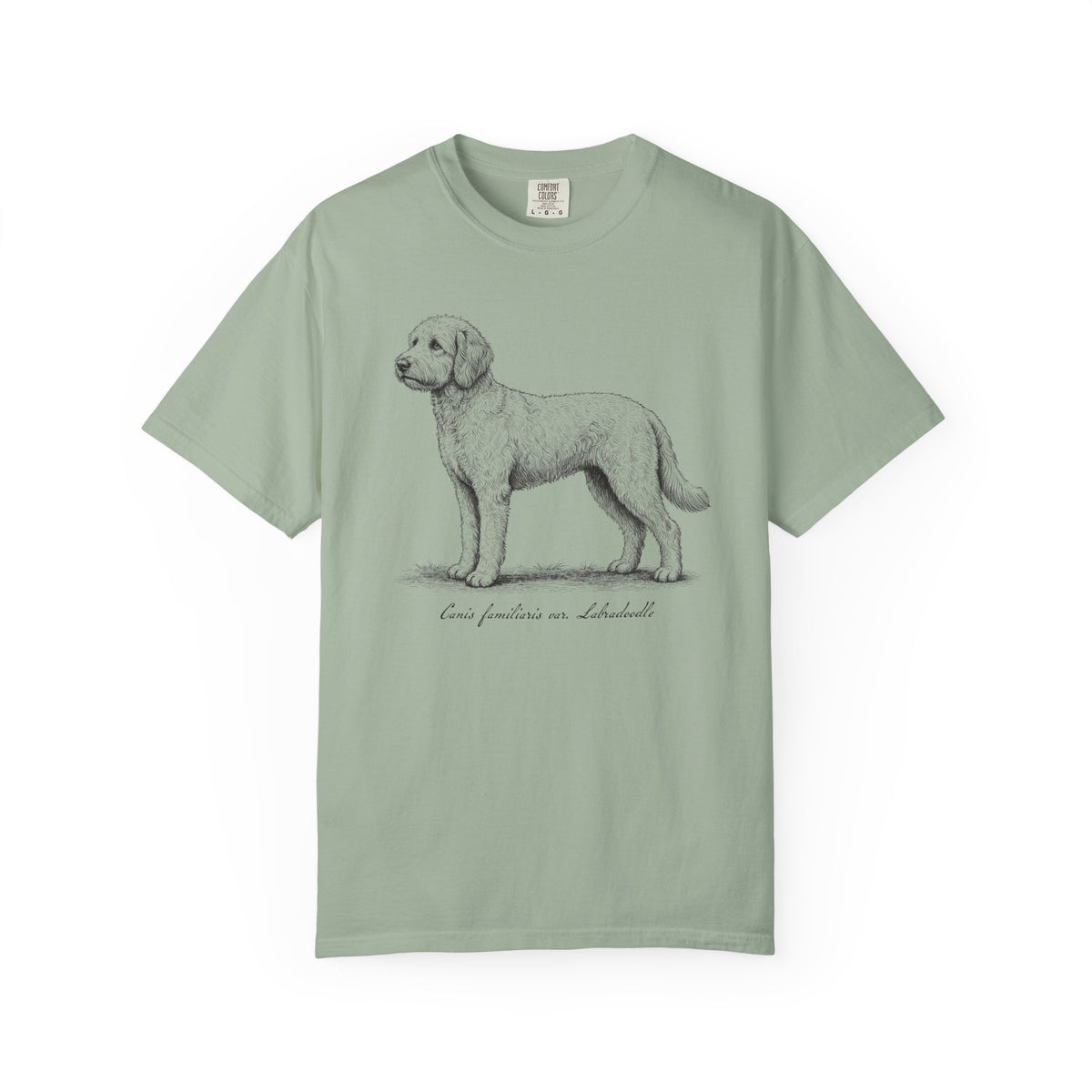 Naturalist’s Notes Labradoodle T-Shirt in Bay from When Dogs Fly