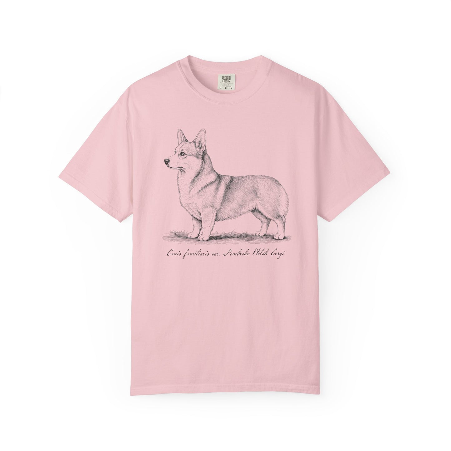 Naturalist’s Notes Corgi T-Shirt in Blossom from When Dogs Fly