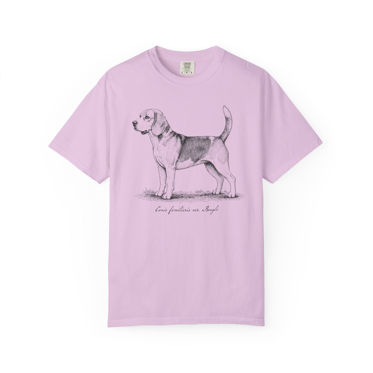 Naturalist’s Notes Beagle T-Shirt in Orchid from When Dogs Fly