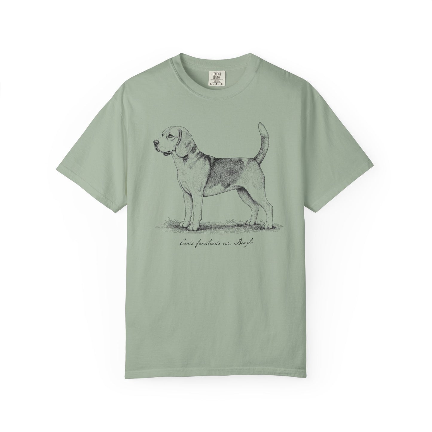 Naturalist’s Notes Beagle T-Shirt in Bay from When Dogs Fly