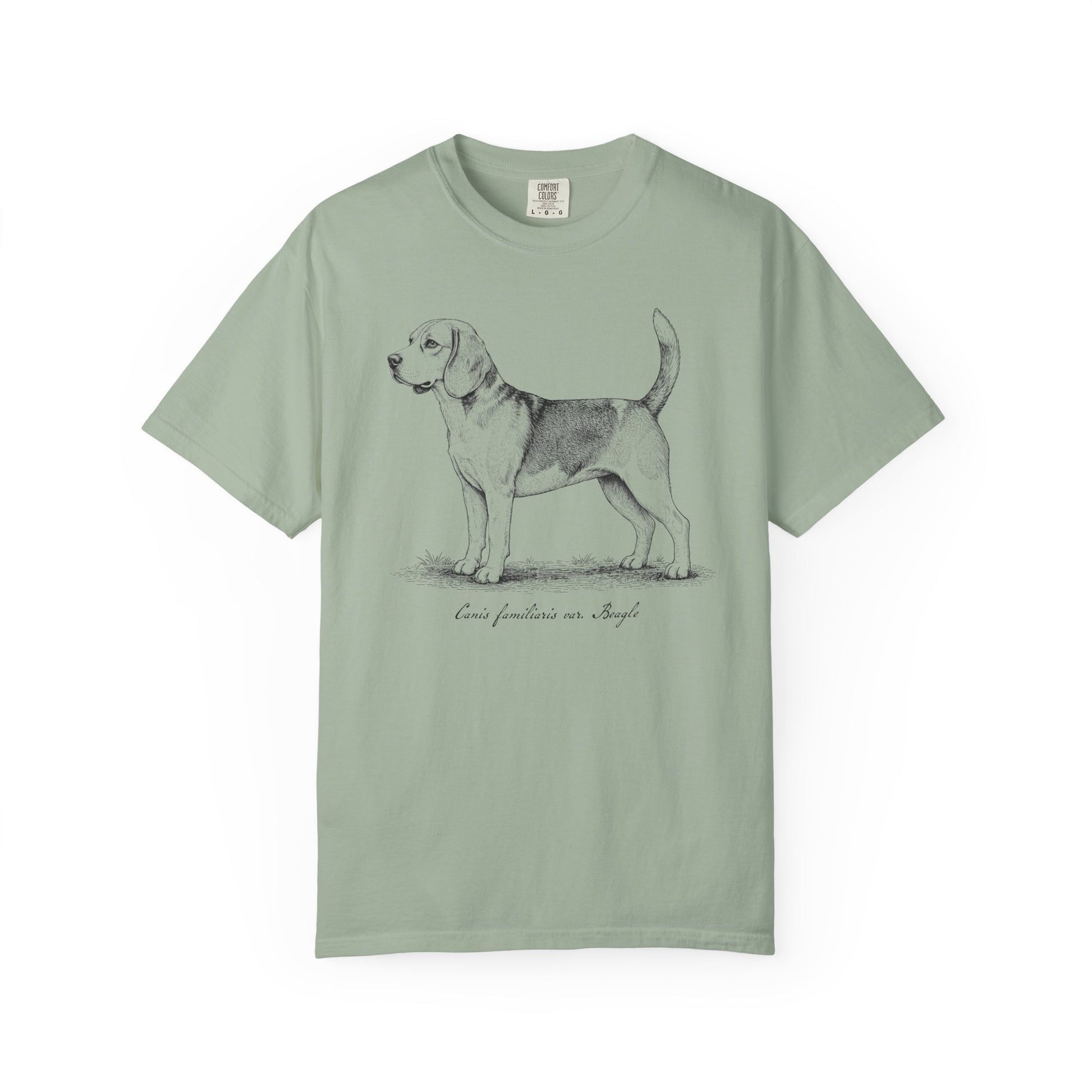 Naturalist’s Notes Beagle T-Shirt in Bay from When Dogs Fly