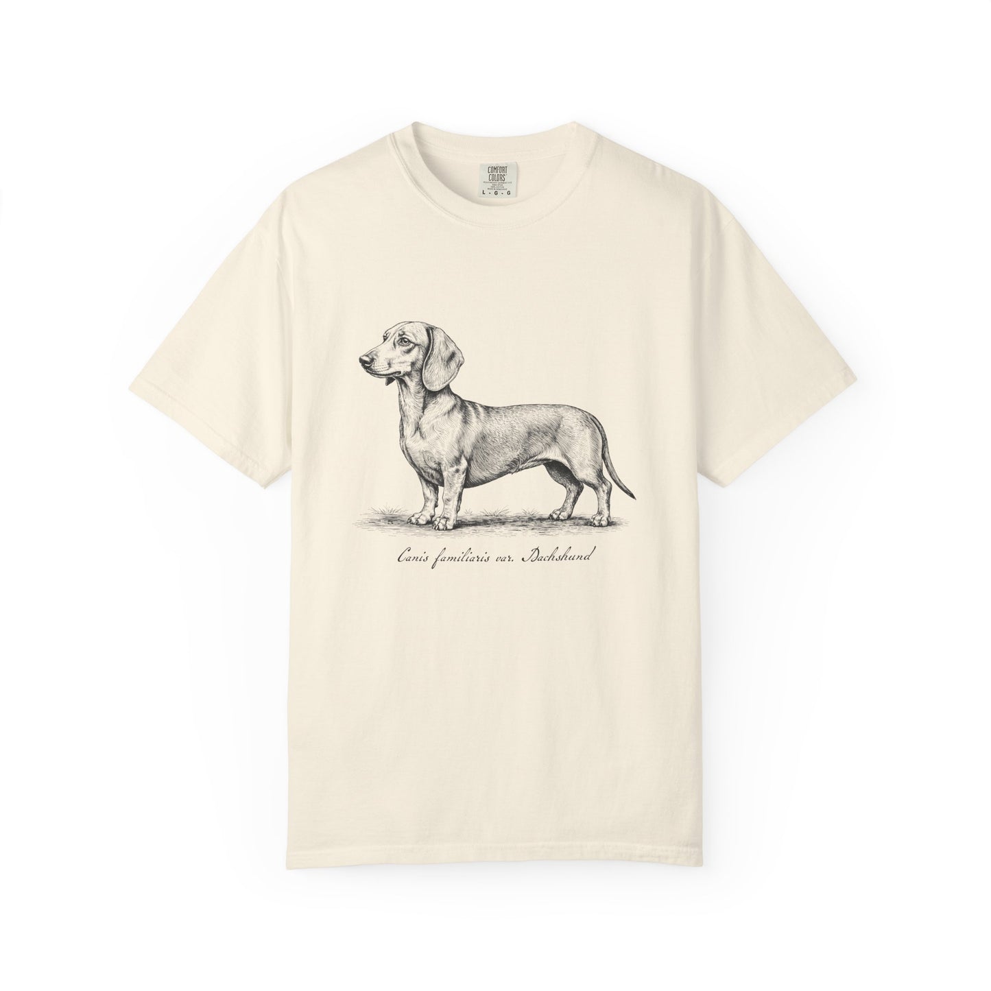 Naturalist’s Notes Dachshund T-Shirt in Ivory from When Dogs Fly