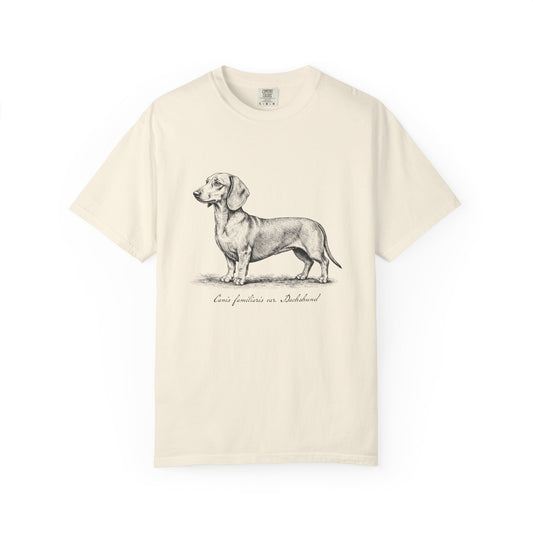 Naturalist’s Notes Dachshund T-Shirt in Ivory from When Dogs Fly