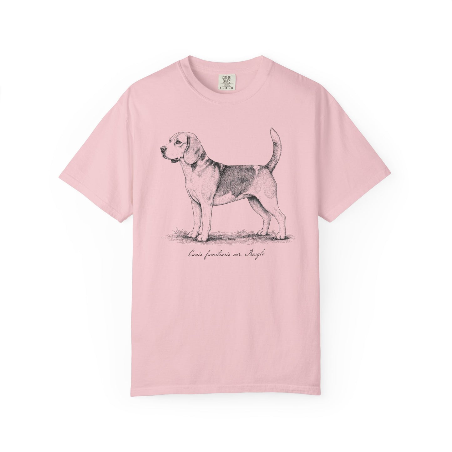 Naturalist’s Notes Beagle T-Shirt in Blossom from When Dogs Fly
