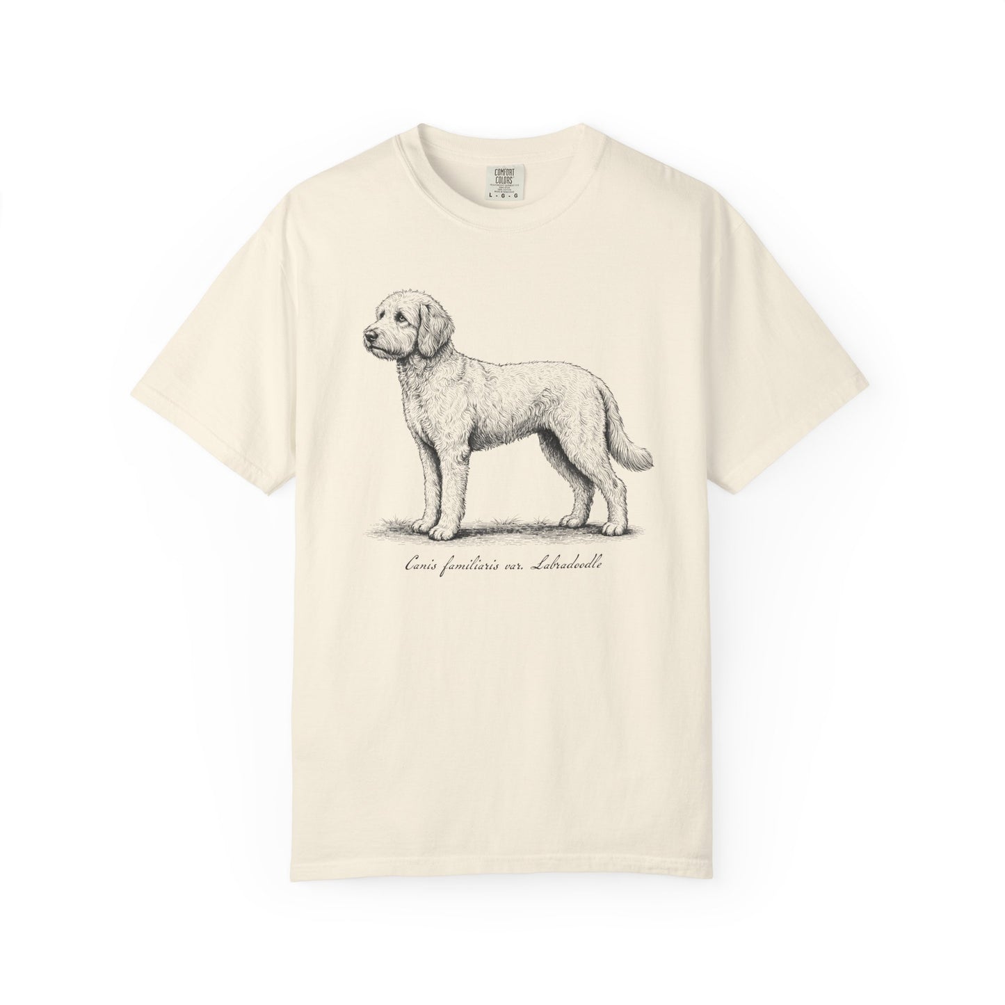 Naturalist’s Notes Labradoodle T-Shirt in Ivory from When Dogs Fly