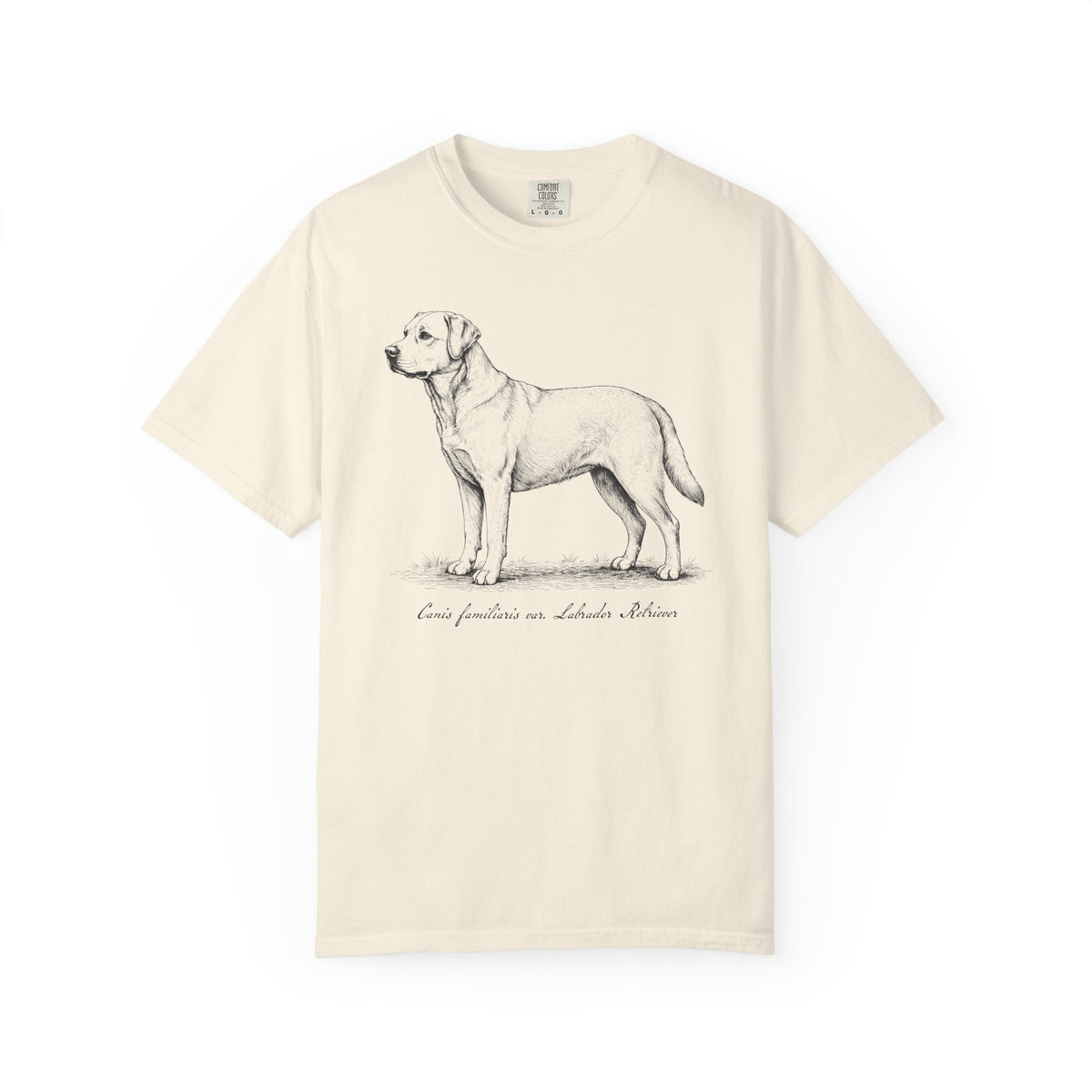 Naturalist’s Notes Labrador Retriever T-Shirt in Ivory from When Dogs Fly