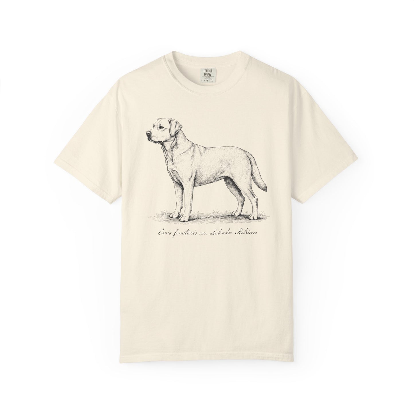 Naturalist’s Notes Labrador Retriever T-Shirt in Ivory from When Dogs Fly