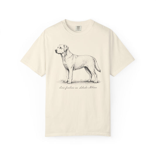 Naturalist’s Notes Labrador Retriever T-Shirt in Ivory from When Dogs Fly