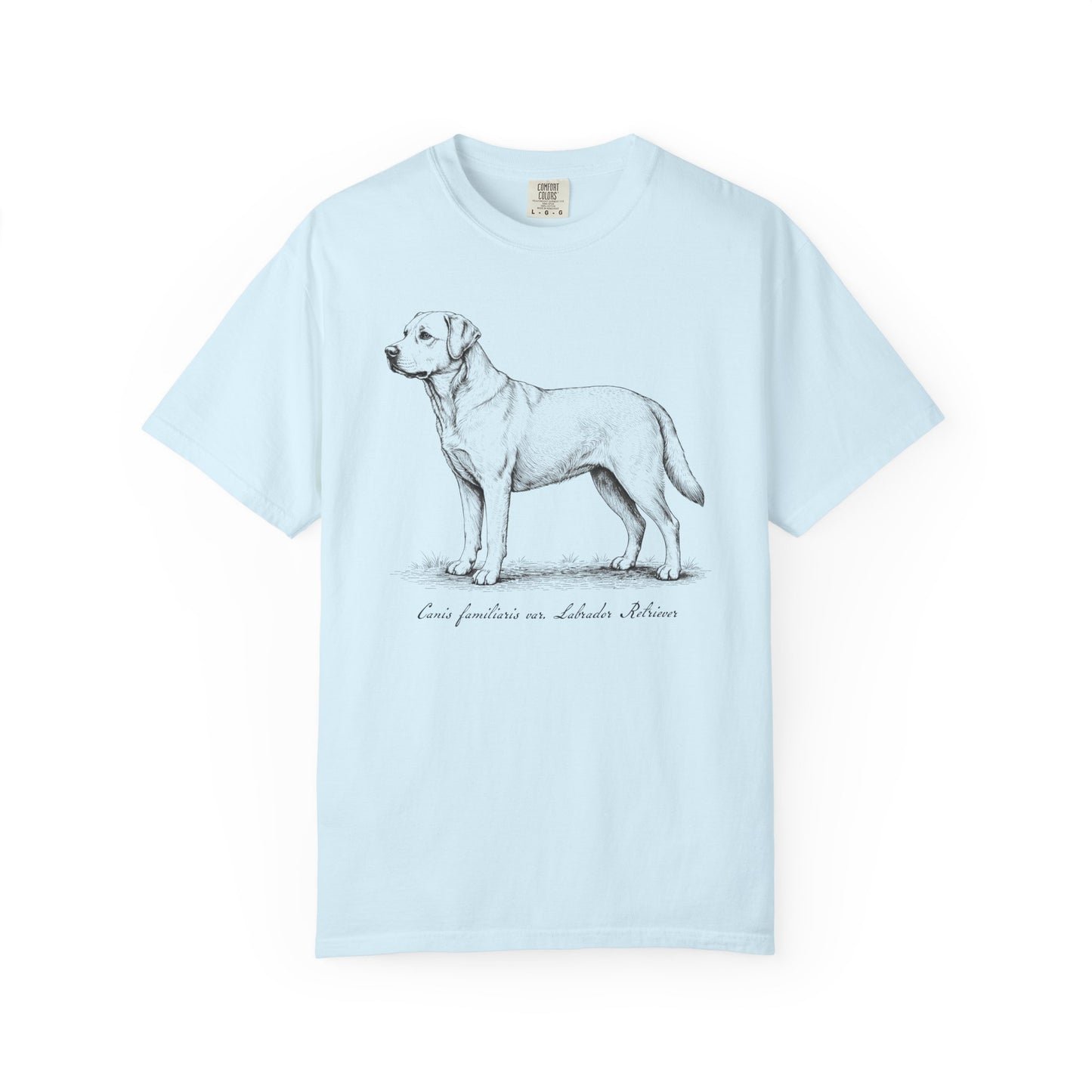 Naturalist’s Notes Labrador Retriever T-Shirt in Chambray from When Dogs Fly