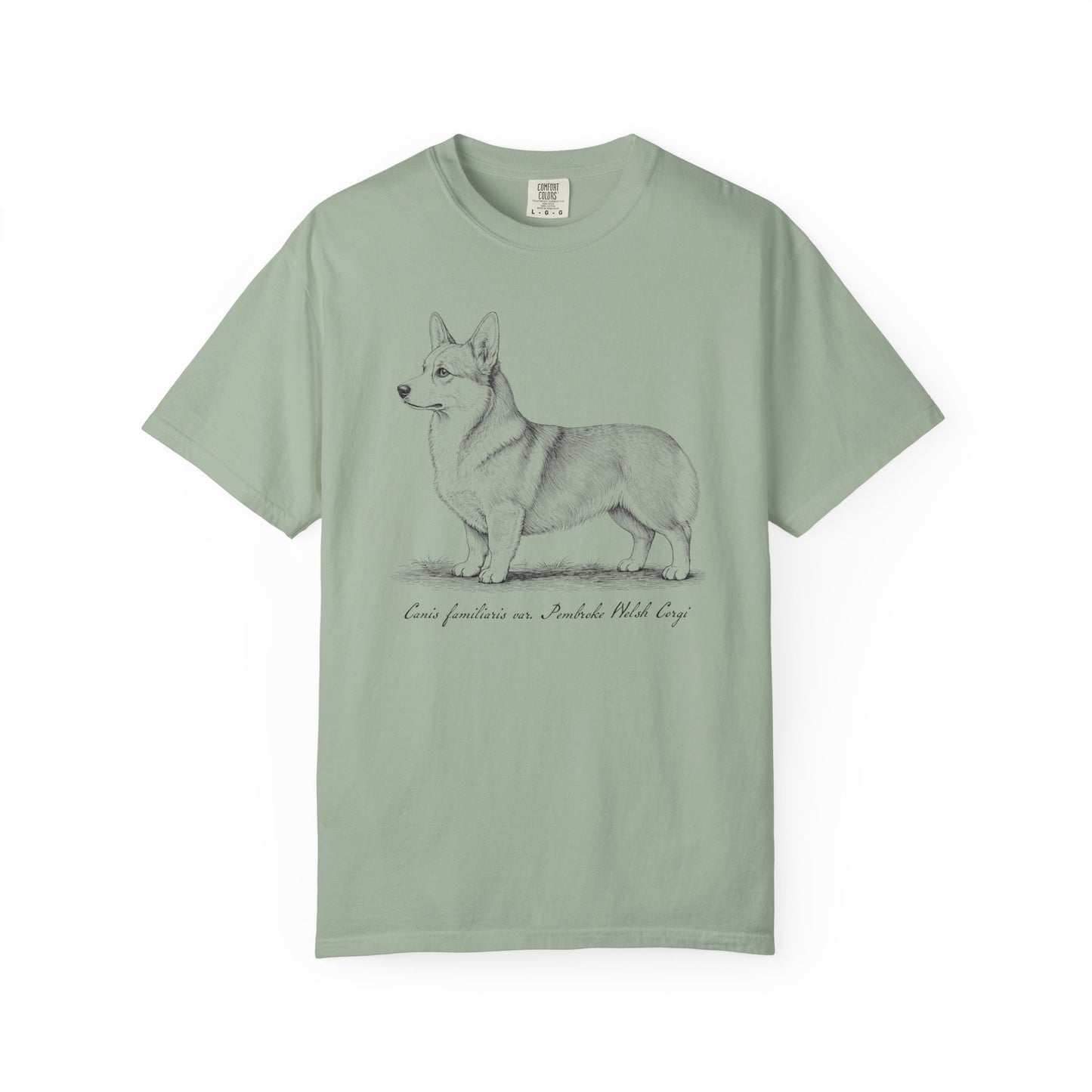 Naturalist’s Notes Corgi T-Shirt in Bay from When Dogs Fly