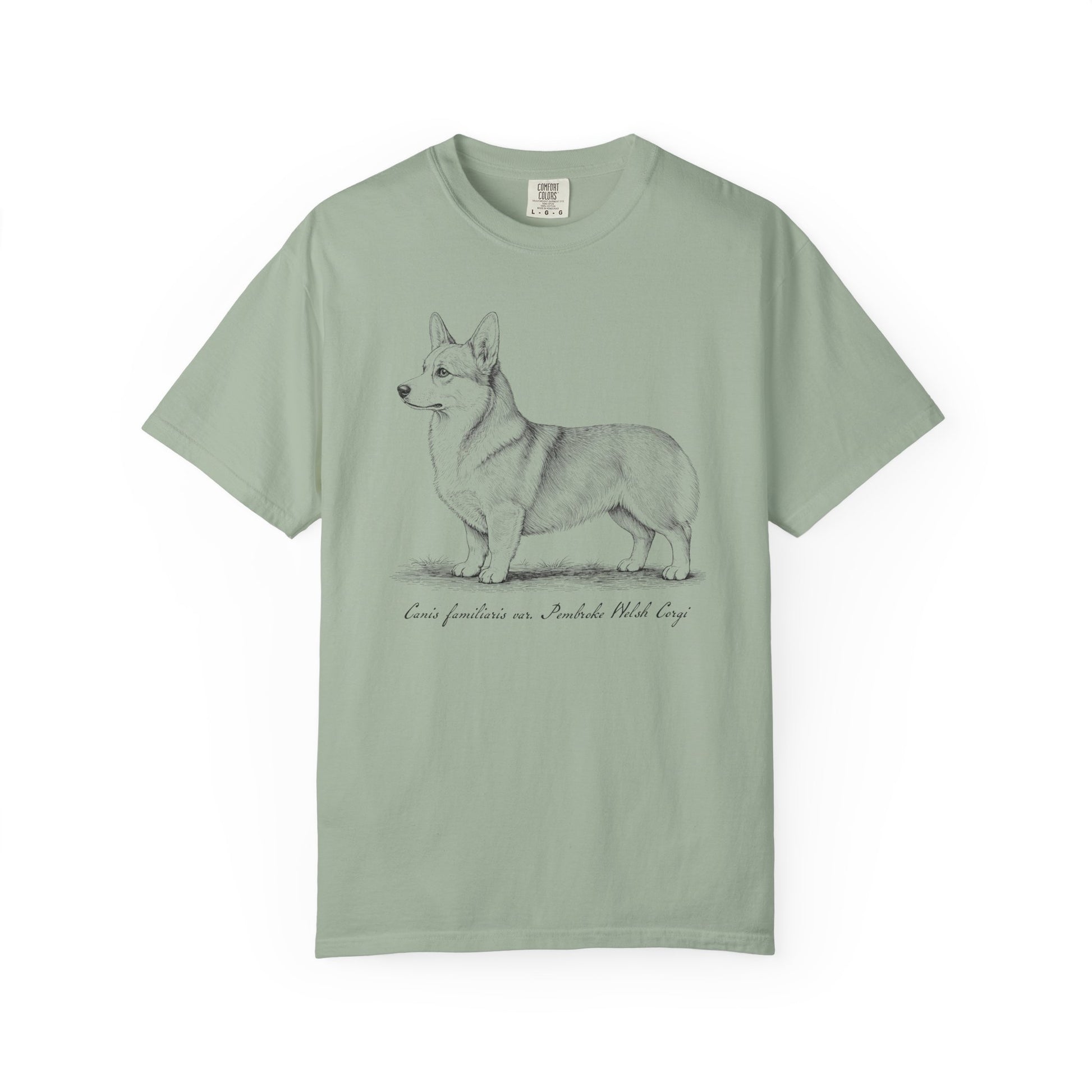 Naturalist’s Notes Corgi T-Shirt in Bay from When Dogs Fly